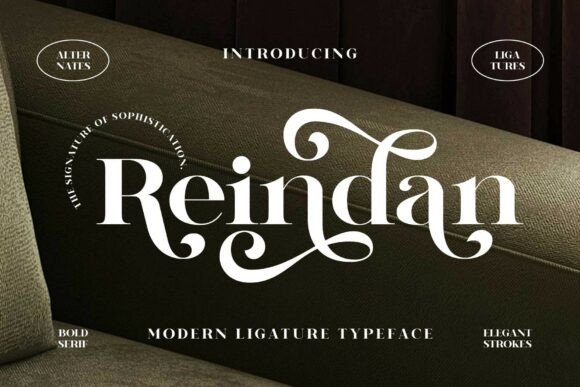 Reindan: A Vintage Serif Font That Stops Scrolling